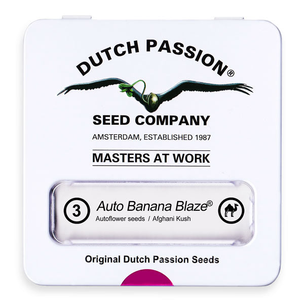 Auto Banana Blaze x3 - Dutch Passion