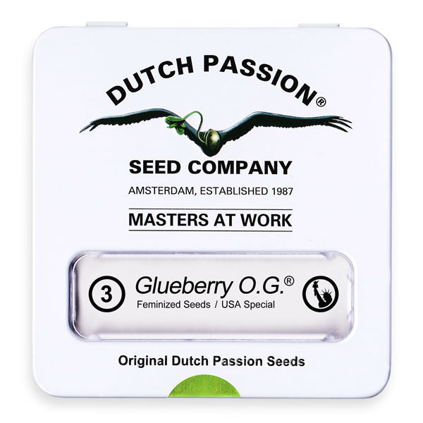 Glueberry OG Fem x3 - Dutch Passion