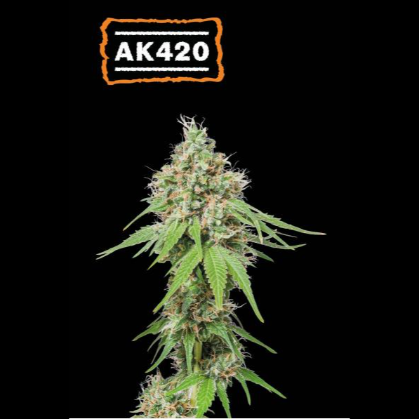 AK420 Fem x100