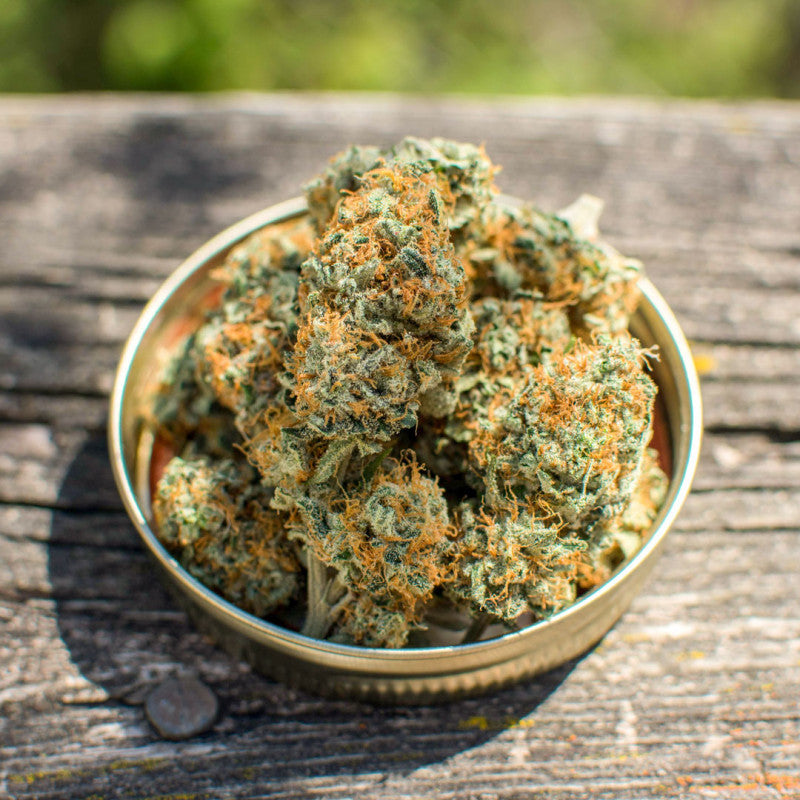 Banana Blaze Fem x3 - Dutch Passion