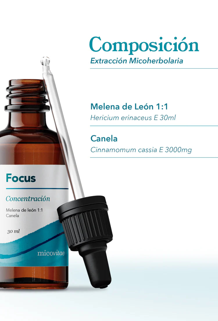 Focus (Melena de León) - Extracto Mycobotanico Adaptogeno - Mycovitae