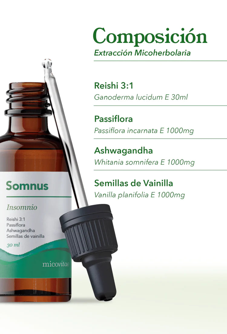 Somnus (Reishi) - Extracto Mycobotanico Adaptogeno - Mycovitae