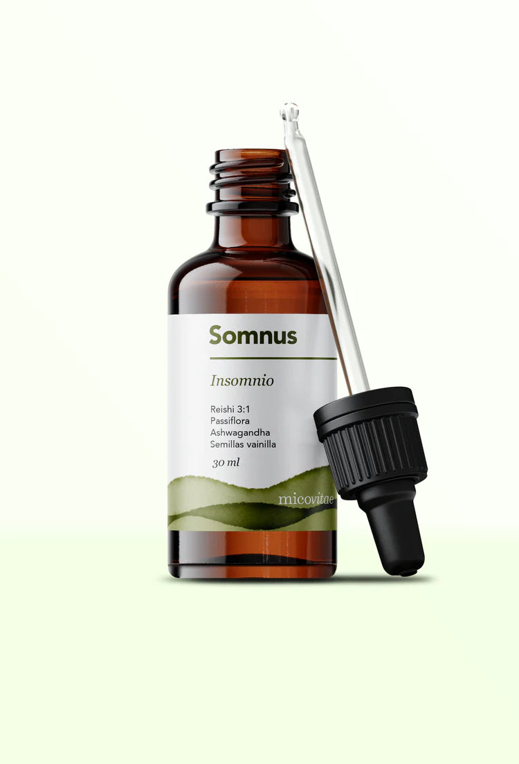 Somnus (Reishi) - Extracto Mycobotanico Adaptogeno - Mycovitae
