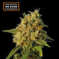 O.G. Kush Fem x5 Semillas - Seedstockers