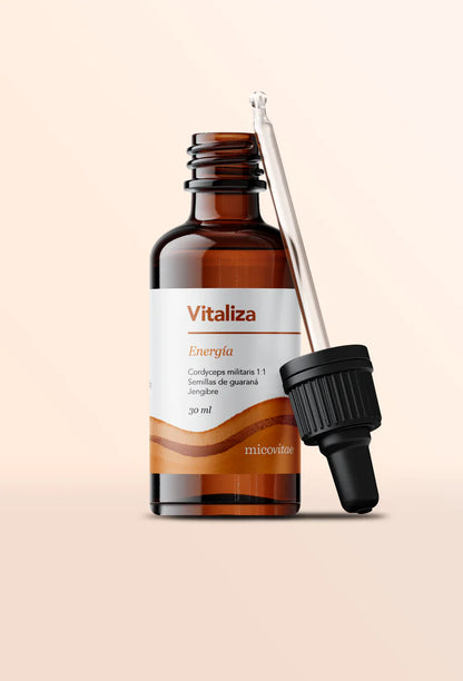 Vitaliza (Cordyceps militaris) -  Extracto Mycobotanico Adaptogeno - Mycovitae