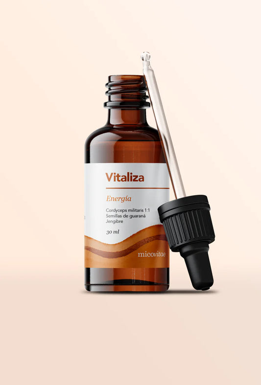 Vitaliza (Cordyceps militaris) -  Extracto Mycobotanico Adaptogeno - Mycovitae