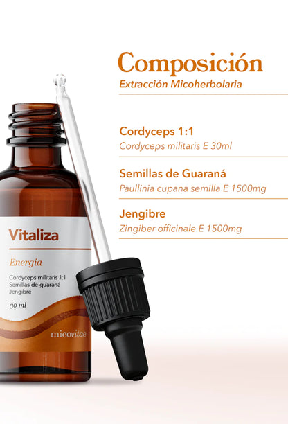 Vitaliza (Cordyceps militaris) -  Extracto Mycobotanico Adaptogeno - Mycovitae