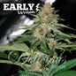 Delicious Candy Early Version x100 - Delicious Seeds