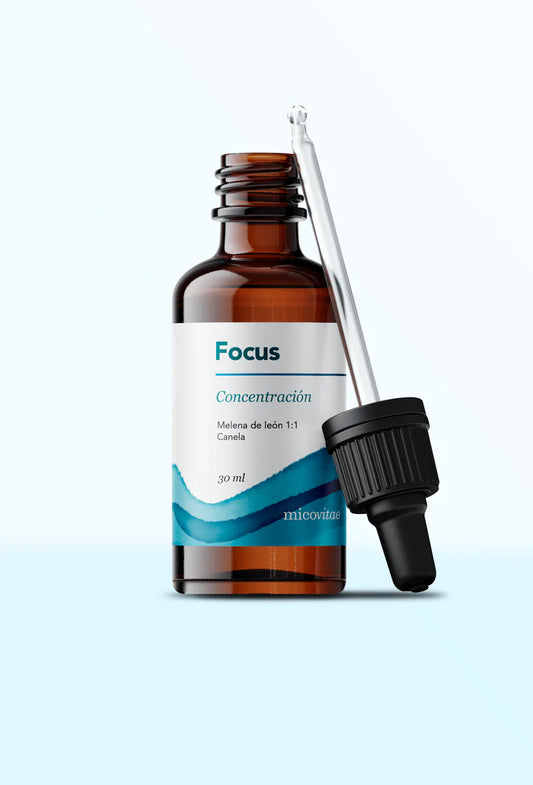 Focus (Melena de León) -  Extracto Mycobotanico Adaptogeno - Mycovitae